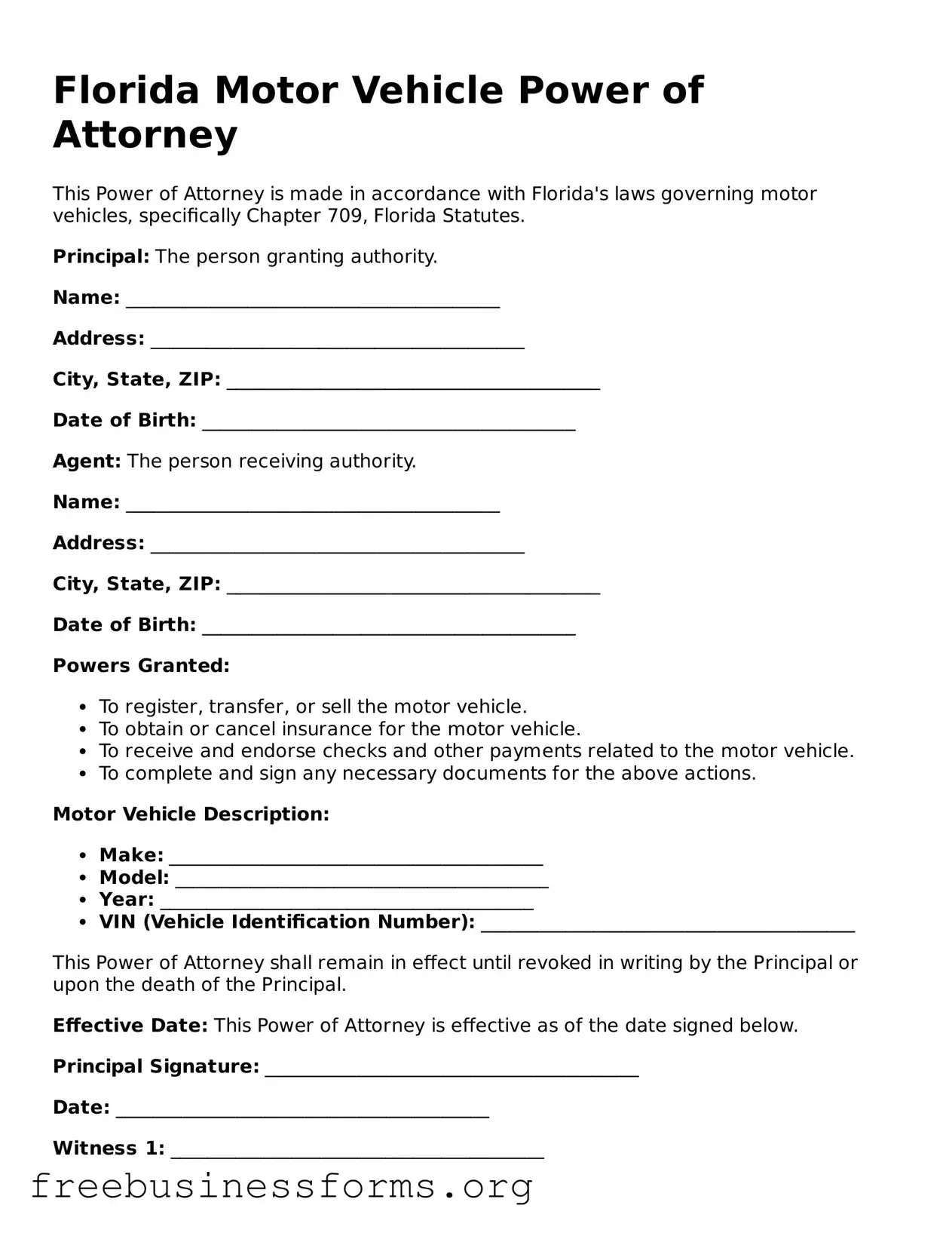 Blank  Motor Vehicle Power of Attorney Template for Florida