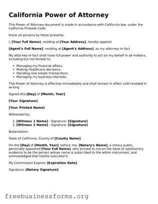 Blank  Power of Attorney Template for California