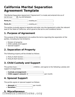 Blank  Marital Separation Agreement Template for California