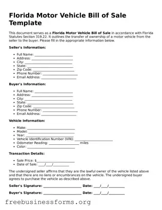 Blank  Motor Vehicle Bill of Sale Template for Florida