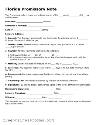 Blank  Promissory Note Template for Florida