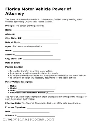 Blank  Motor Vehicle Power of Attorney Template for Florida