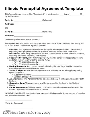 Blank  Prenuptial Agreement Template for Illinois