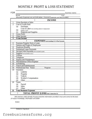 Official Profit And Loss Form in PDF