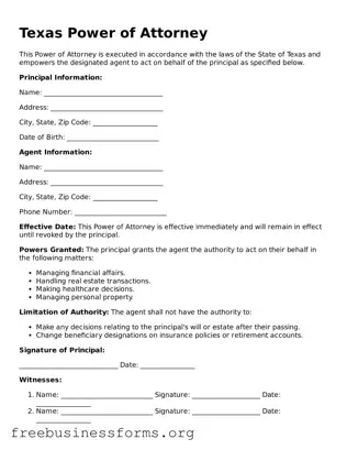 Blank  Power of Attorney Template for Texas