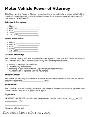 Official Motor Vehicle Power of Attorney Form